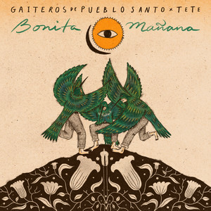 Bonita Mañana by Gaiteros de Pueblo Santo, TeTe