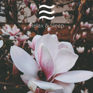 Conducive Sough for Sleep