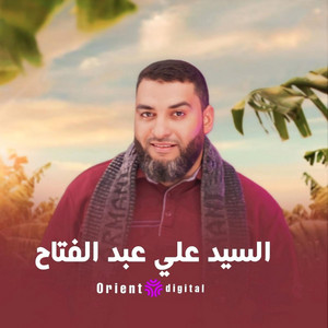 يافرحة عروسين الليله (feat. المنشد السيد علي عبدالفتاح)