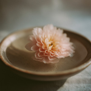 i think it's you by Layla Weathers
