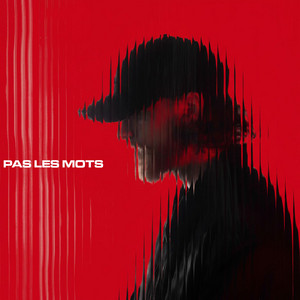 Pas les mots by Anam