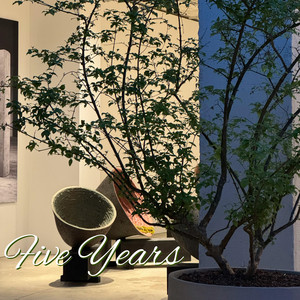 Five Years by Kimberley Surrey