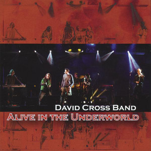 Tonk by David Cross Band