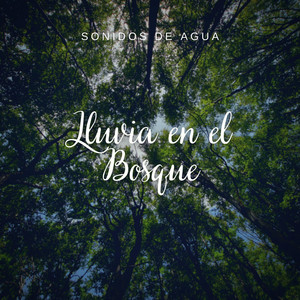 Lluvia en el Bosque album