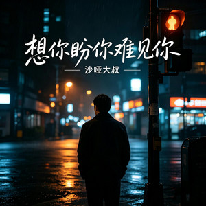 想你盼你难见你 - 烟嗓版 by 沙哑大叔