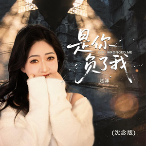 是你负了我 - DJ沈念版伴奏 by 赵洋, DJ沈念