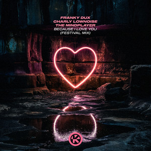 Franky Dux — Because I Love You (Festival Mix) (2026)