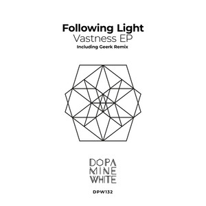 Following Light — Vastness