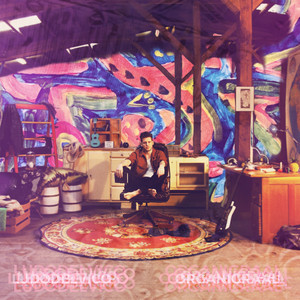 Organigraal — pochette
