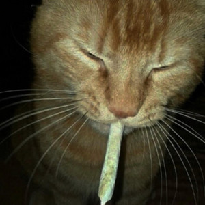 ban by agWdaplugg, $wagSHAWTY