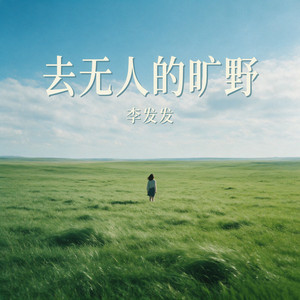 去无人的旷野 - 节奏版 by 李发发