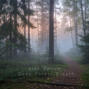 Deep Forest Breath - Calm Rain Mix by Alex Zenum