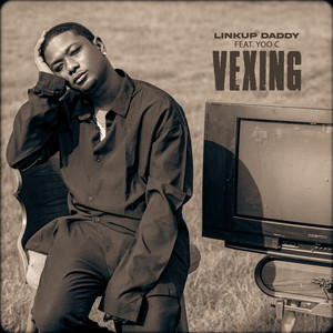 VEXING by Link UP Daddy, Yoo C
