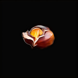 Portada de Marron chaud