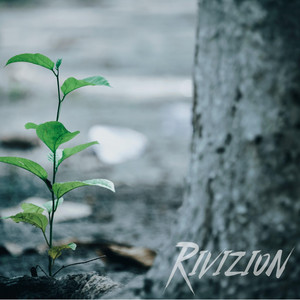 Little by Little by Rivizion