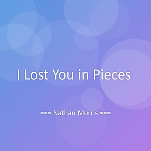 I Lost You in Pieces