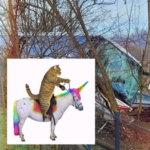 Saz - boy oh boy (feat. Addison Aubrey)