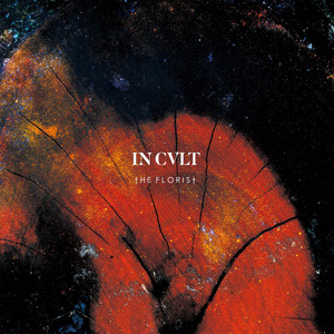 Nocturne by The Florist