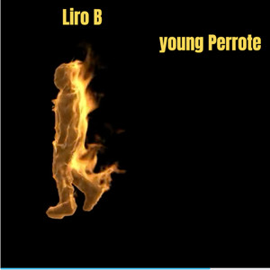 Liro B by young perrote