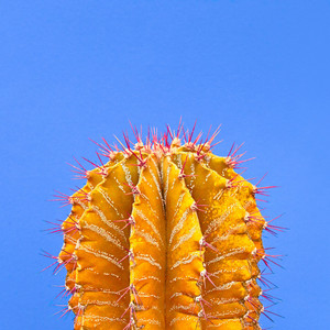 Jonathan Mann - Asmr