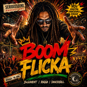 BOOM FLICKA by Serioussound