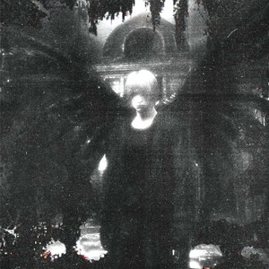 ARCHANGEL by Night