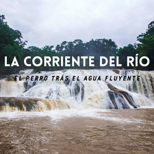 La Corriente Del Río: El Perro Trás El Agua Fluyente album