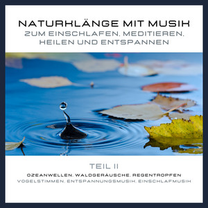 Naturklänge mit Musik zum Einschlafen, Meditieren, Heilen und Entspannen - Teil 2 (Ozeanwellen, Waldgeräusche, Regentropfen, Vogelstimmen, Entspannungsmusik, Einschlafmusik)