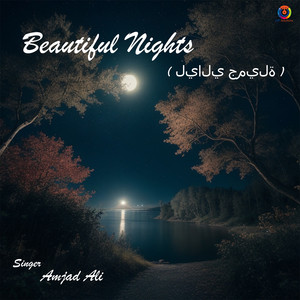Amjad Ali - Beautiful Nights