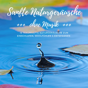 Sanfte Naturgeräusche ohne Musik (Traumhafte Naturgeräusche zum Einschlafen, Wohlfühlen & Entspannen)