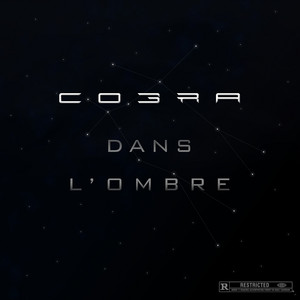 Dans l'ombre by COBRA