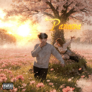 tvixx — Panacea
