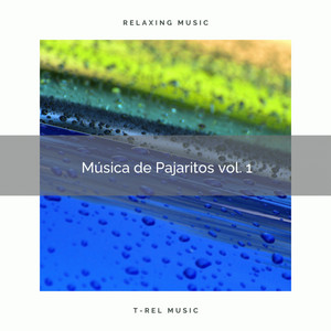 1 Música de Pajaritos vol. 1 album
