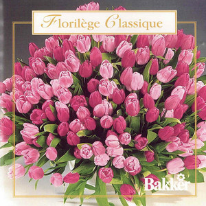 Wolfgang Amadeus Mozart - Marche turque
