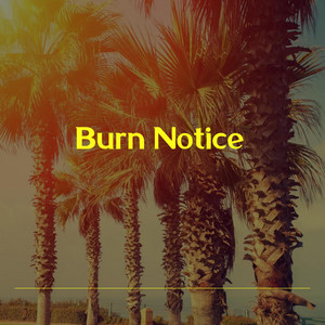 Burn - Instrumental by Burn Notice
