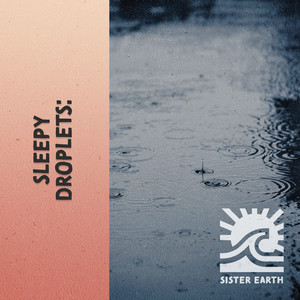 zZz Sleepy Droplets: Rain Recordings from the Marsh zZz album