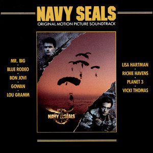 Hardline by Richie Havens