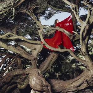Mary Lattimore — Beholden to the Birds Murmuring Above (2026)