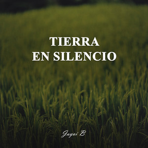 Silent Earth - Acoustic by Dj Jayvi B