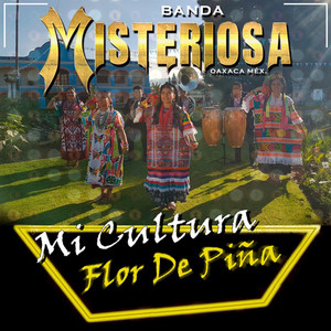 Banda Misteriosa - Flor de Piña