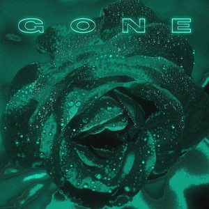 Portada de gone
