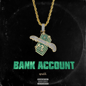 Обкладинка: Bank Account