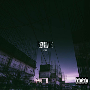 Revenge