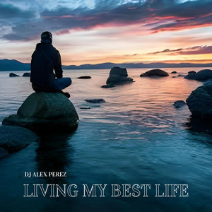Dj Alex Perez - Living My Best Life (Remix)