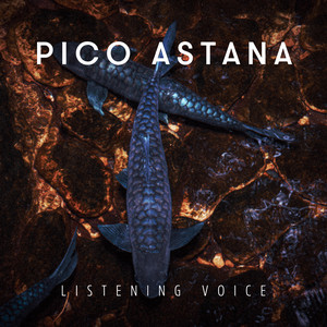 Listening voice by Pico Astana
