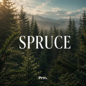 Spruce by prm.