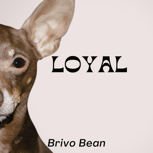 Loyal by Brivo Bean