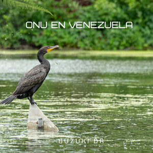 ONU en Venezuela by Buzuki Dr