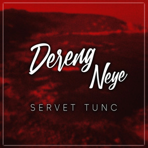 Servet Tunç - Dereng Neye