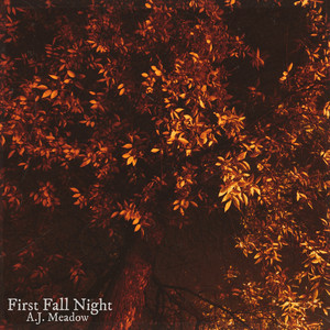 First Fall Night by A.J. Meadow